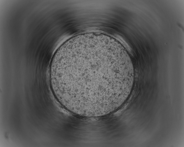 X0000097510814200803201614