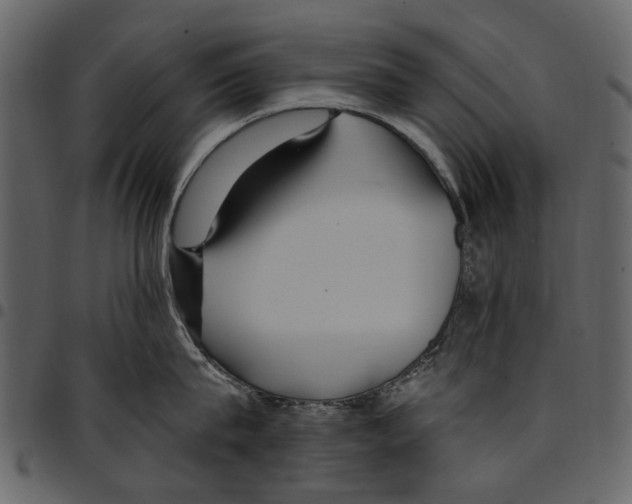 X0000097510815200803201614