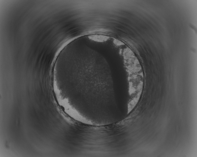 X0000097510816200803201614
