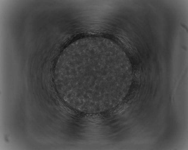 X0000097510817200803201613