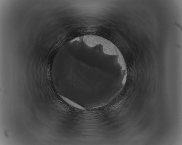X0000097510818200803201613