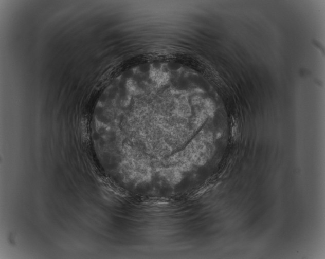 X0000097510819200803201613