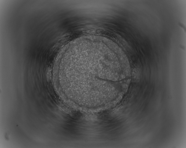X0000097510820200803201613