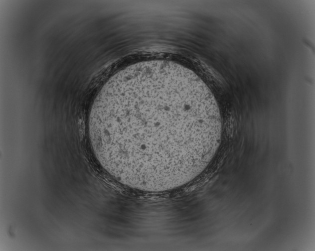 X0000097510821200803201613
