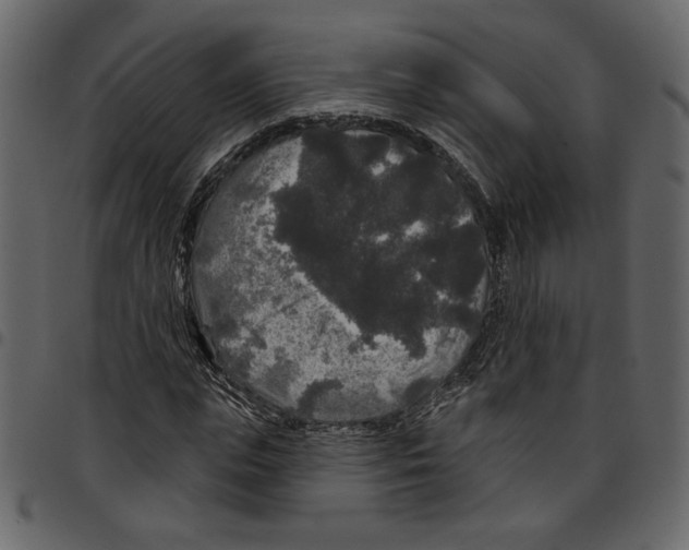 X0000097510823200803201613