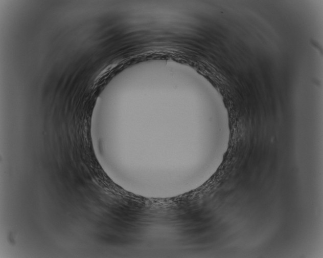 X0000097510824200803201613