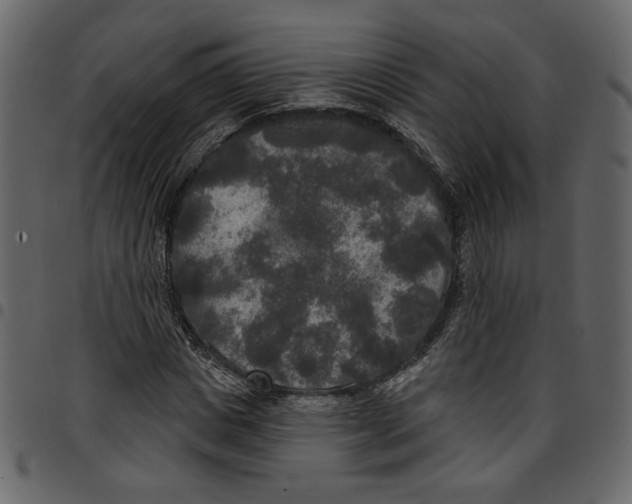 X0000097510825200803201613