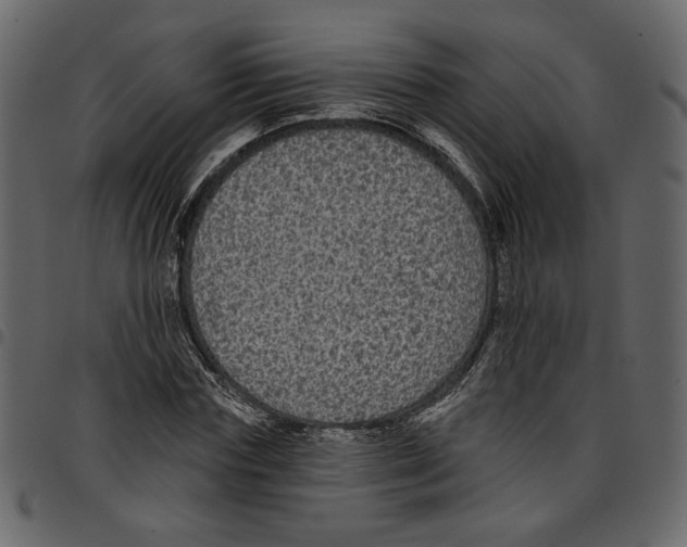 X0000097510827200803201613