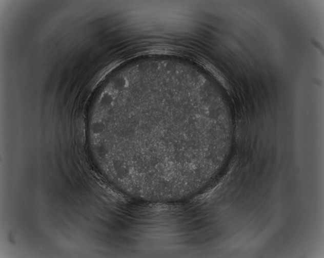 X0000097510829200803201613