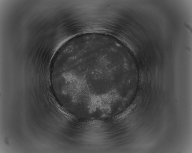 X0000097510830200803201613