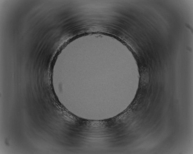 X0000097510832200803201613