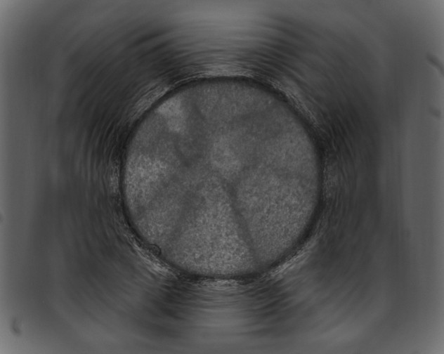 X0000097510833200803201613
