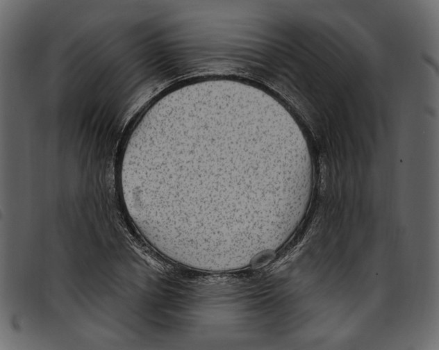 X0000097510834200803201613