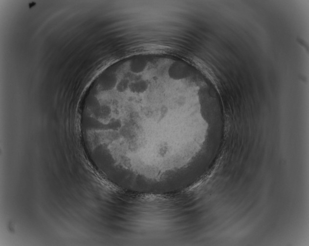 X0000097510835200803201614