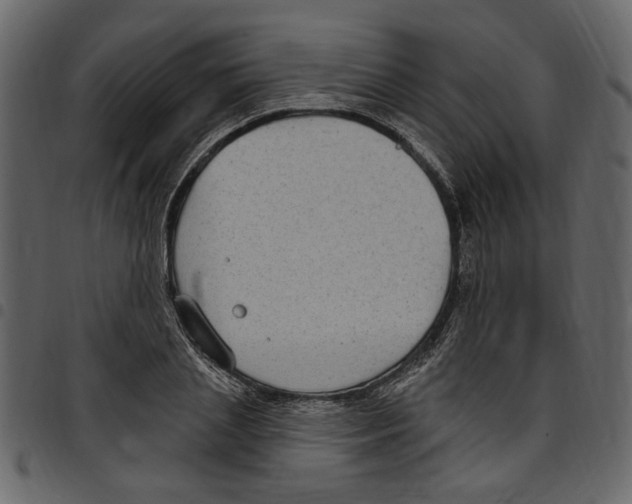 X0000097510837200803201614