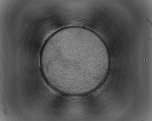 X0000097510838200803201614