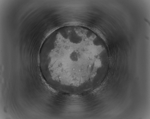X0000097510839200803201614