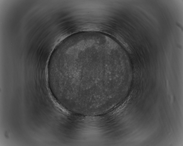 X0000097510840200803201614