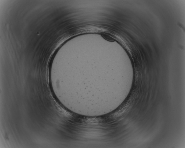 X0000097510843200803201614