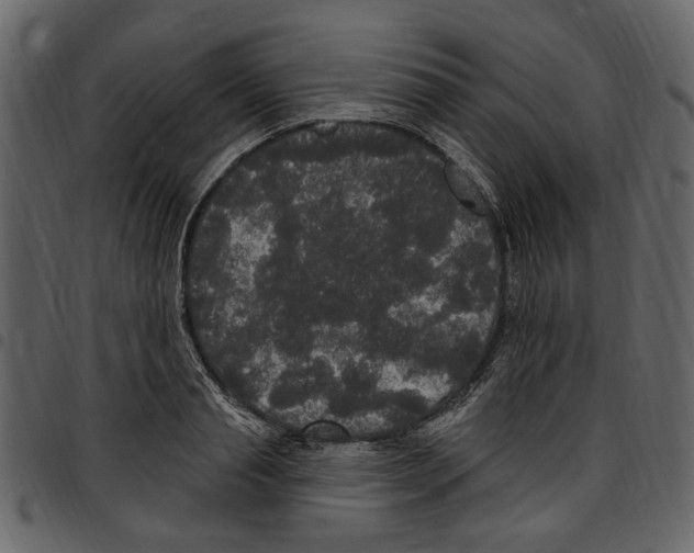 X0000097510845200803201614