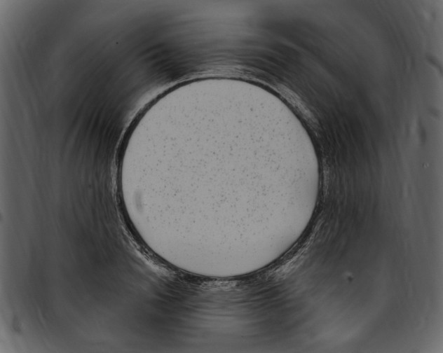 X0000097510846200803201614