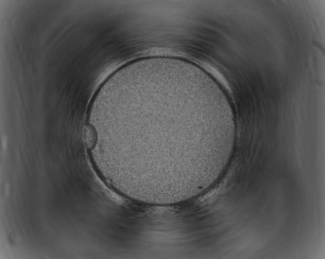 X0000097510847200803201614
