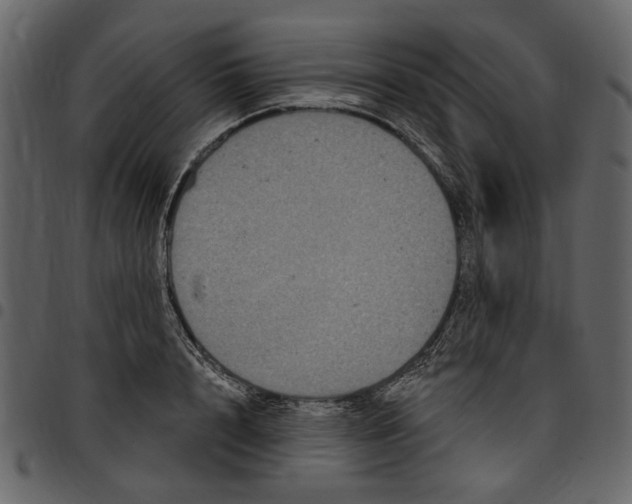 X0000097510848200803201614