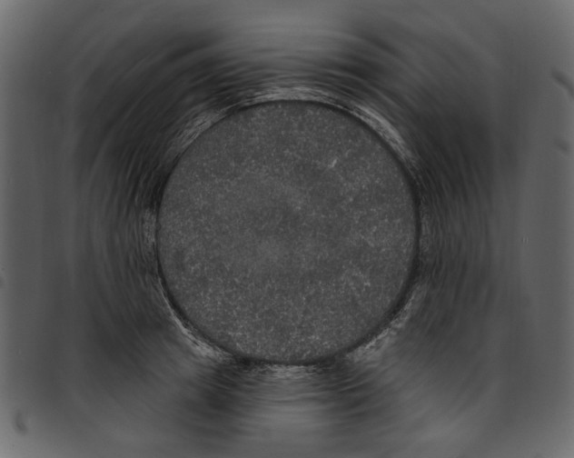 X0000097510849200803201614