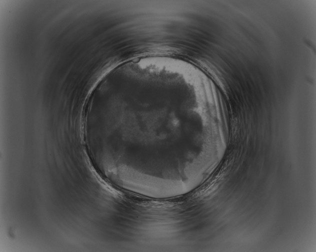 X0000097510851200803201614