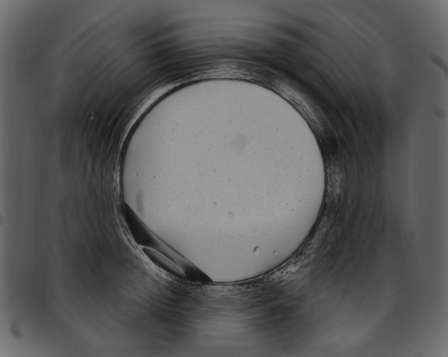 X0000097510852200803201614