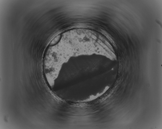 X0000097510853200803201614