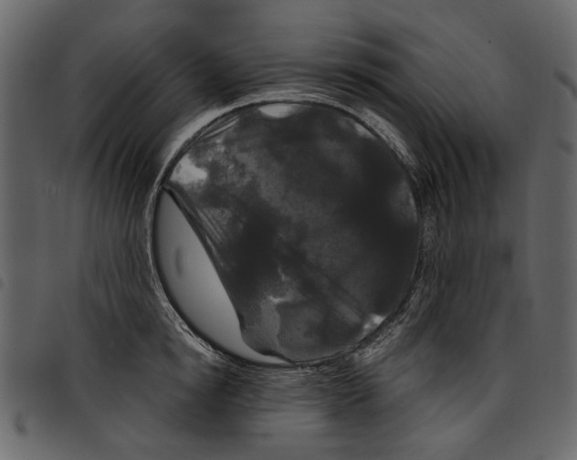 X0000097510854200803201614