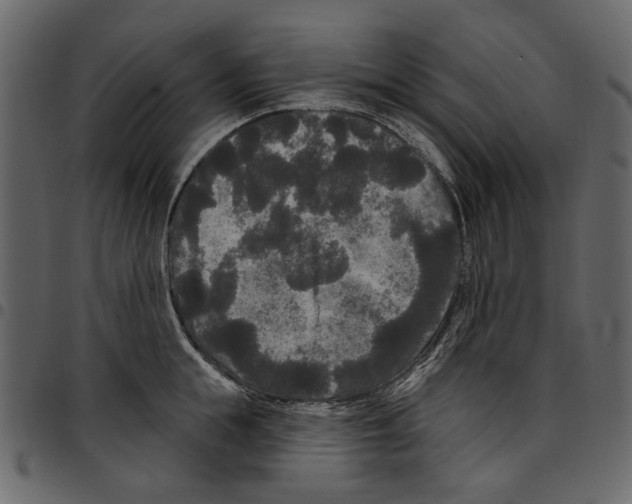X0000097510855200803201614