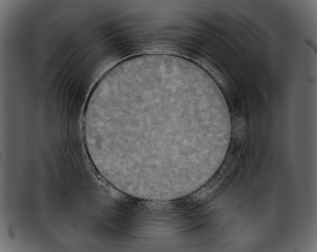 X0000097510856200803201614