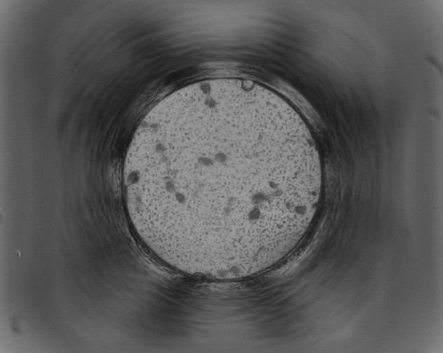 X0000097510857200803201614