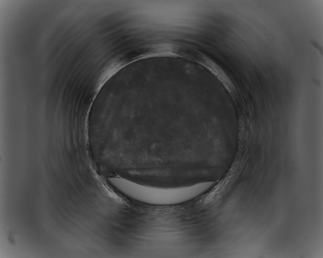 X0000097510858200803201614