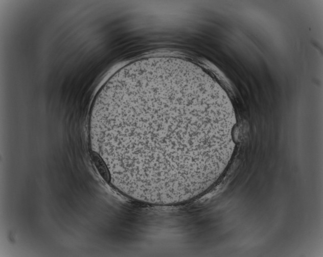 X0000097510860200803201614