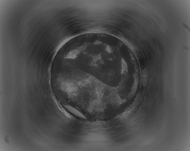 X0000097510862200803201614