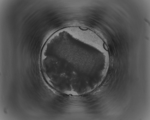 X0000097510863200803201614