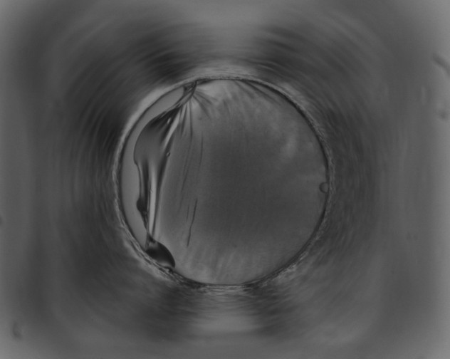 X0000097510864200803201614