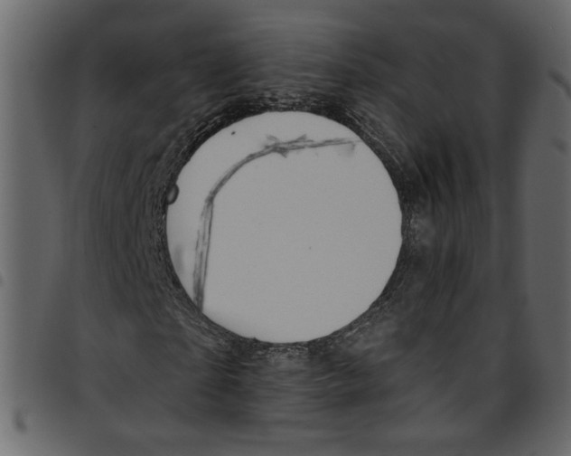 X0000097510865200803201613