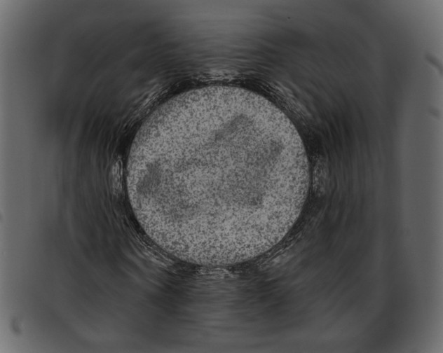 X0000097510866200803201613