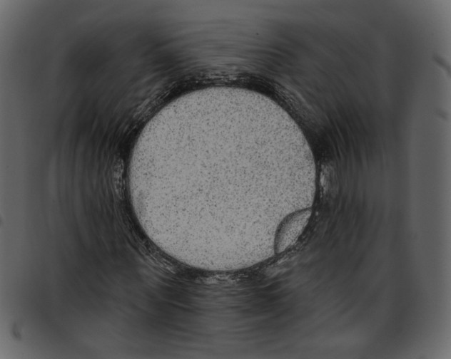 X0000097510867200803201613