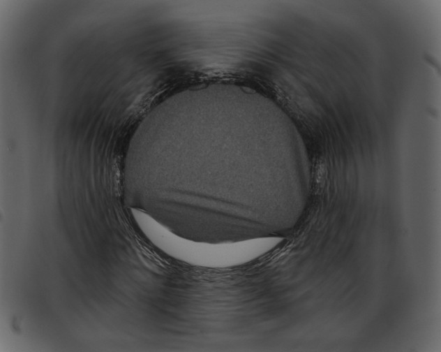 X0000097510868200803201613