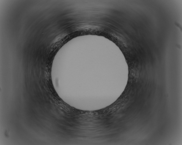 X0000097510869200803201613
