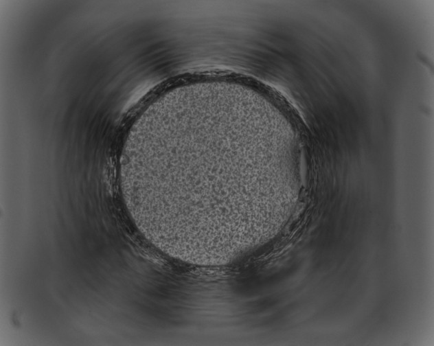 X0000097510871200803201613