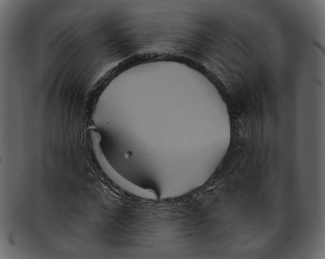 X0000097510872200803201613