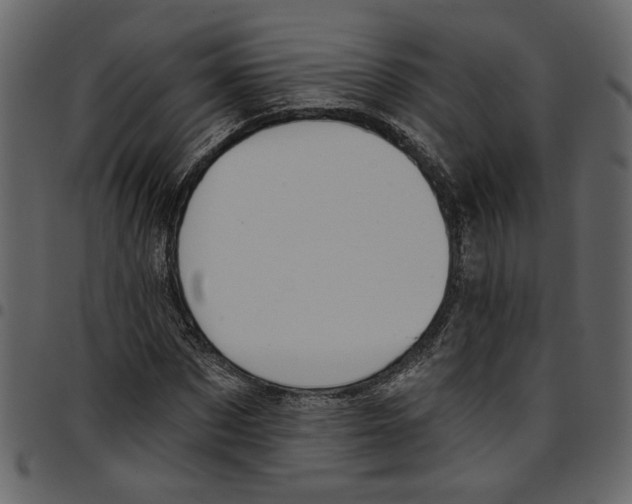 X0000097510873200803201613