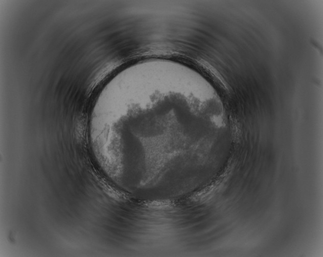 X0000097510874200803201613