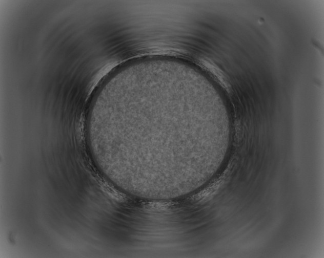 X0000097510875200803201613
